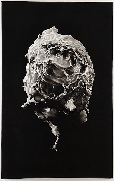 Peter Hock: Neoplast, 2016, Reißkohle auf Papier, 240 x 150 cm
